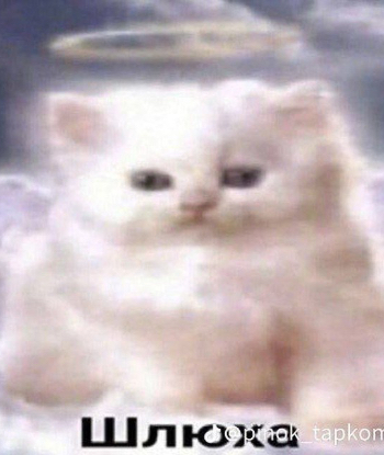 Девочка сладкая булочка с 2 размером груди сделает с удовольствием окончание в рот и позовет в гости